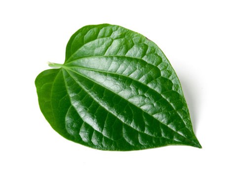 Betel Paan Leaf - 1 Each