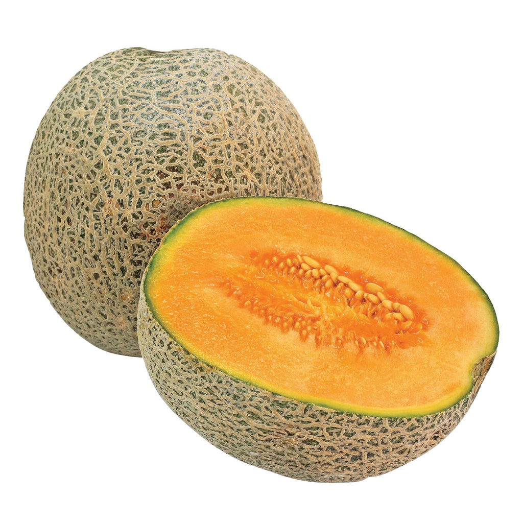 Cantaloupe Fresh Whole - EA