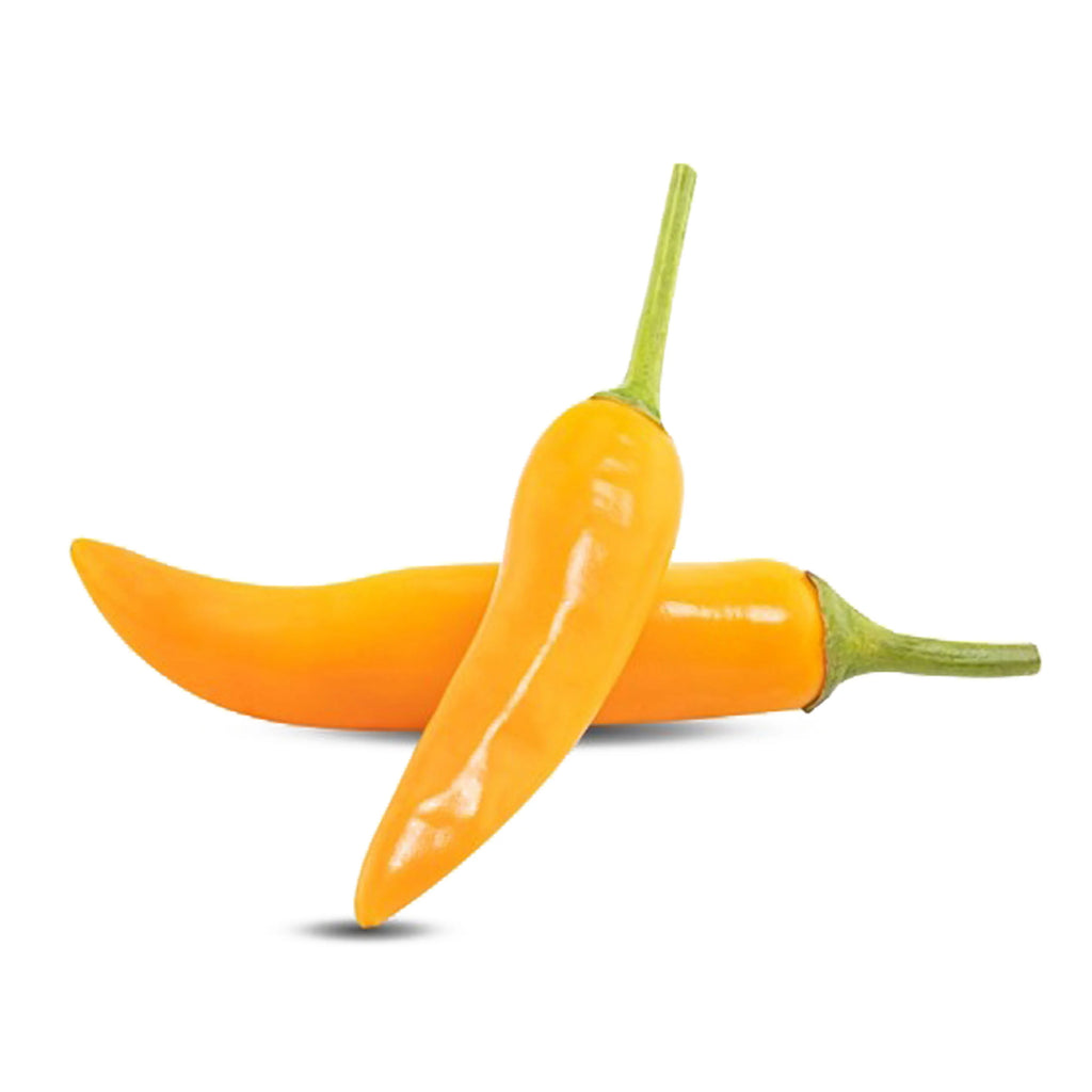 Chilli Yellow - lb