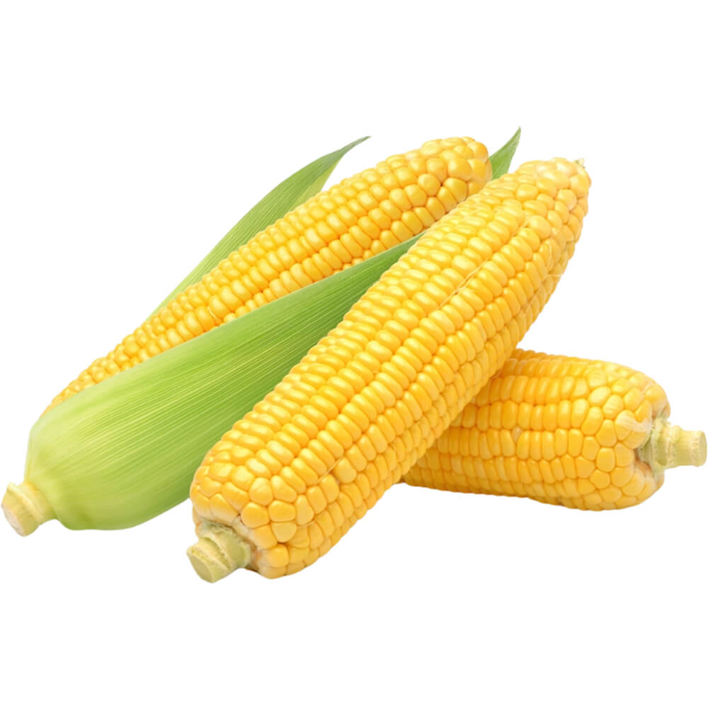 Corn Fresh - EA