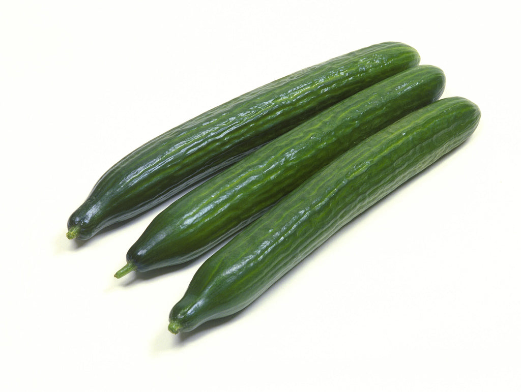 Cucumber Long - lb