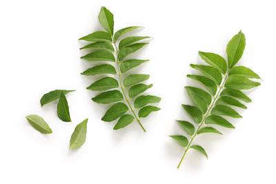 Curry Leaves- 1 pack