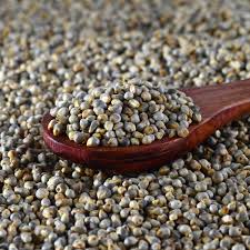 Anand Pearl Millet (Kambu / Bajra) 2 lb