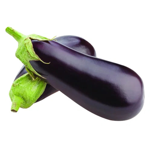 Eggplant American - EA