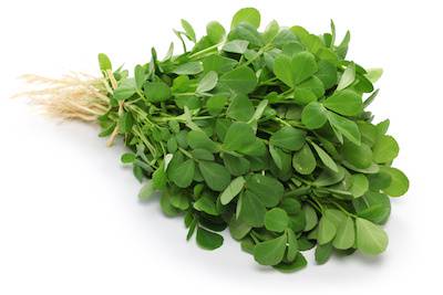 Fenugreek Leaves / Methi - 1 Bunches