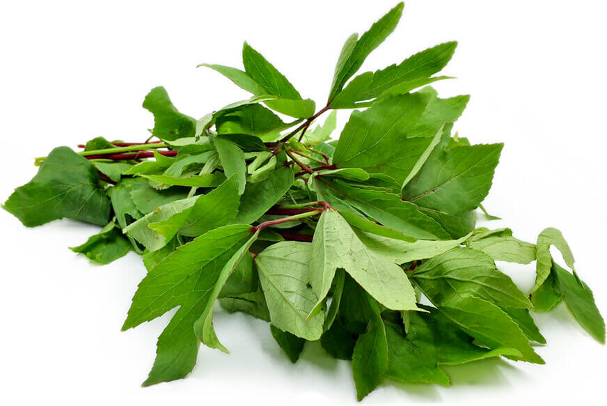 Gongura Leaves Bunches - 0.5 LB