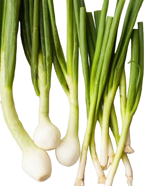 Spring Onions 1 pc