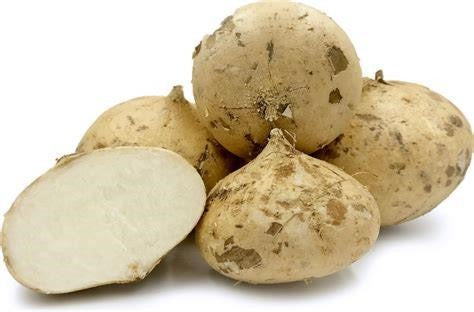 Jicama - lb