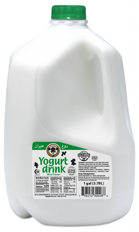 Karoun Yogurt Drink Mint - 1gl
