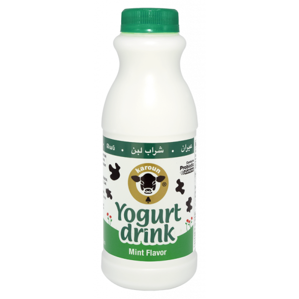 Karoun Yogurt Drink Mint - 473ml