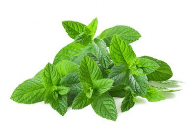 Mint leaves - 1 Bunches