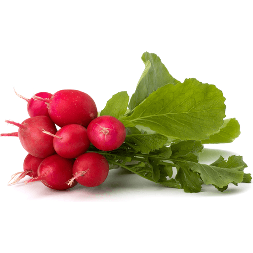 Radish Red Bunch - EA