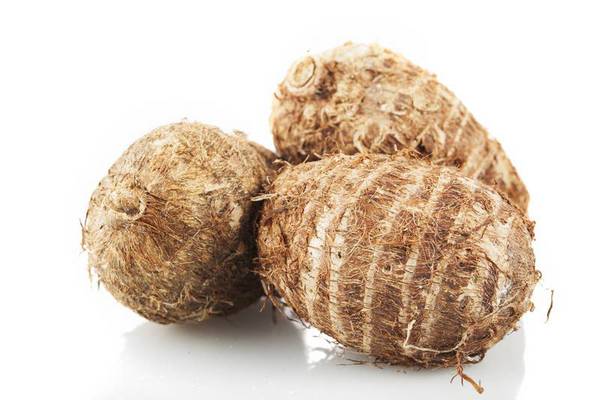 Taro Root / Colocasia/ Arbi/ Seppan Kizhangu 0.5 LB