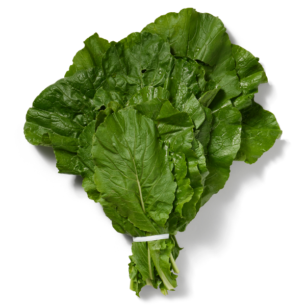 Turnip Leaves Bunch - EA