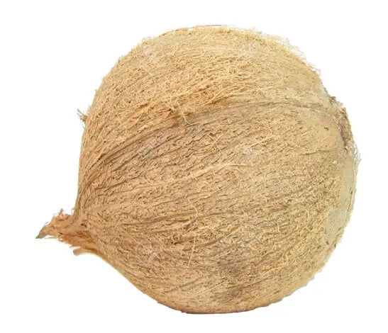 Fresh Coconut Whole - 1 Count