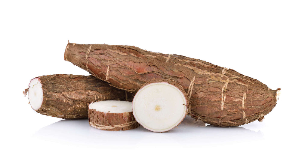 Yucca - lb